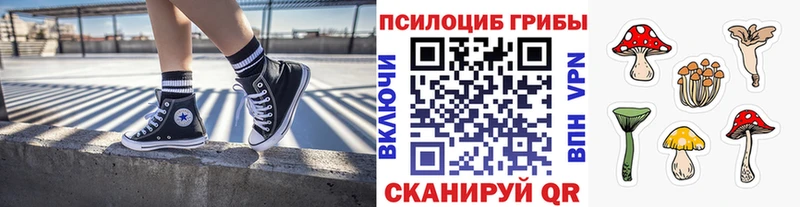 купить  сайты  Серафимович  mega зеркало  Галлюциногенные грибы Cubensis 